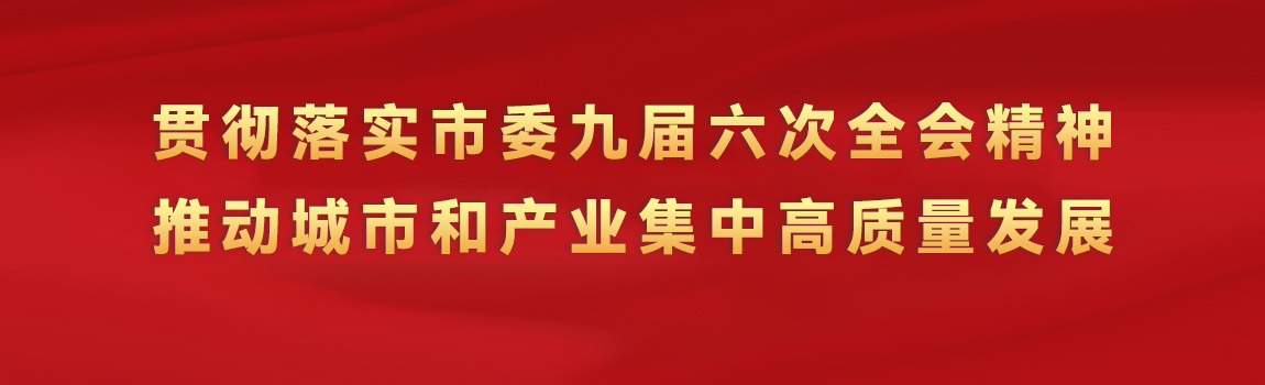 贯彻落实市委九届六次全会精神